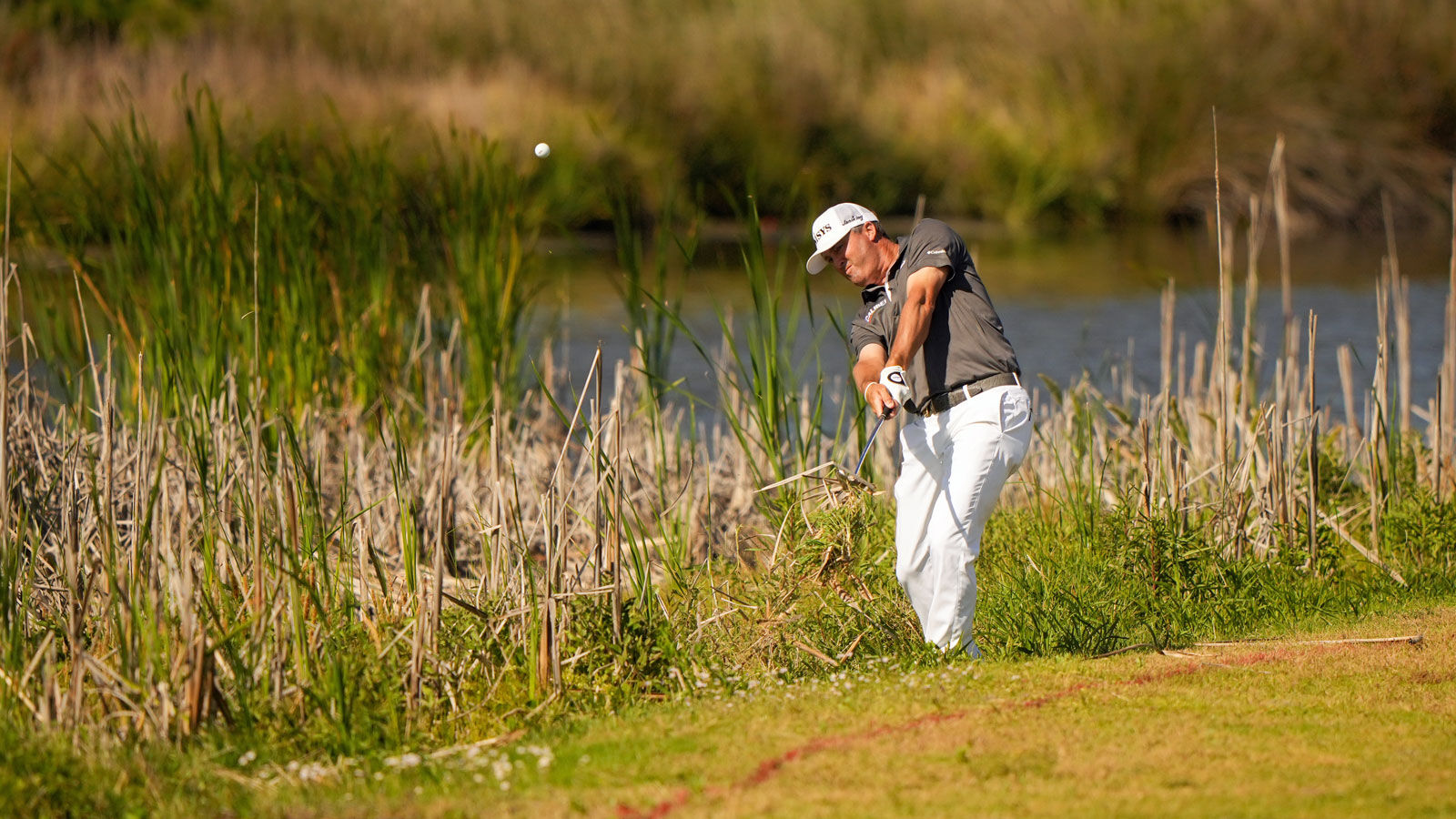 PGA Championship, swamp